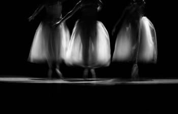 Cocoons Dance