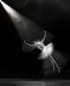 Like-a-moth-to-the-flame-By-Osher-Partovi-Dance-Black-and-white-photography