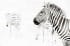 Billy-Dodson-Tarangire-Trio-Fine-Art-Print