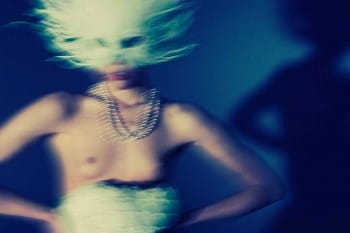 Untitled 12 – Animal Grace