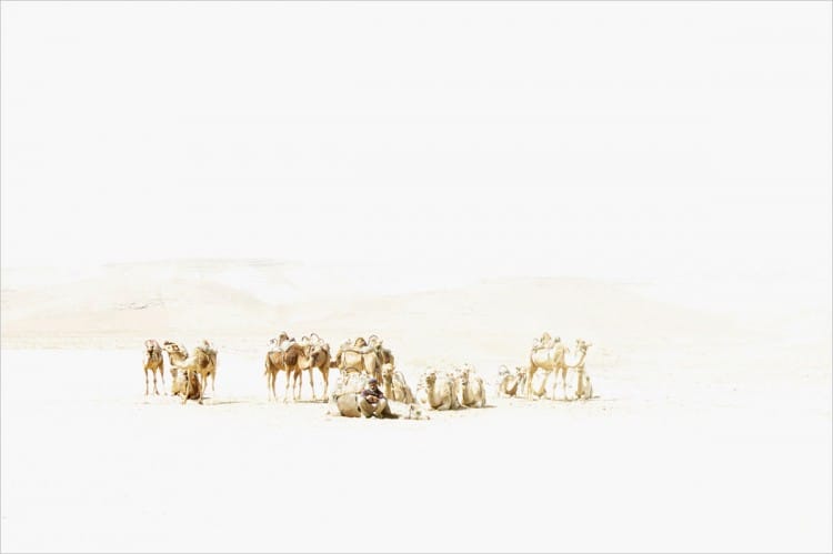 Wilderness