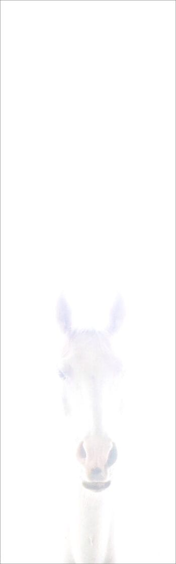 Pegasus