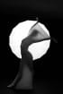 Flash-By-Osher-Partovi-Dance-Black-and-white-photography