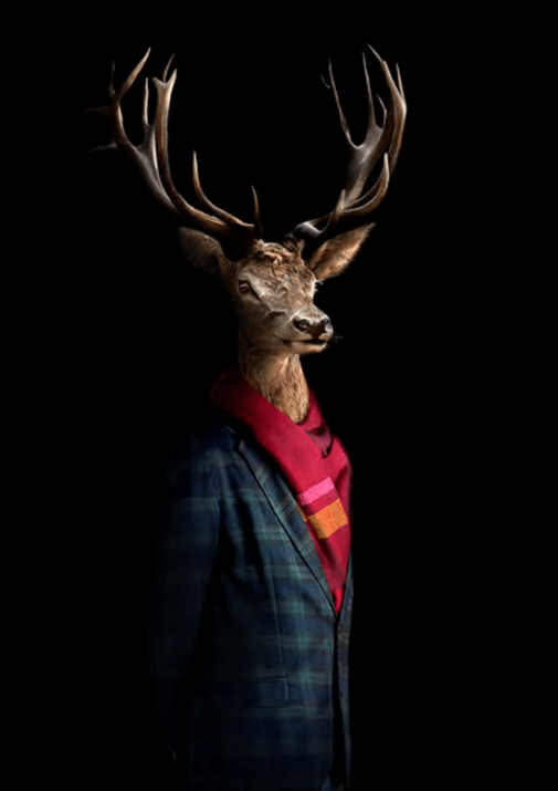 Second Skins – Retrato 46