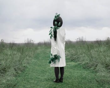 The Language of Spring