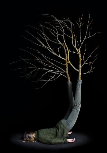 You are the branches of the tree