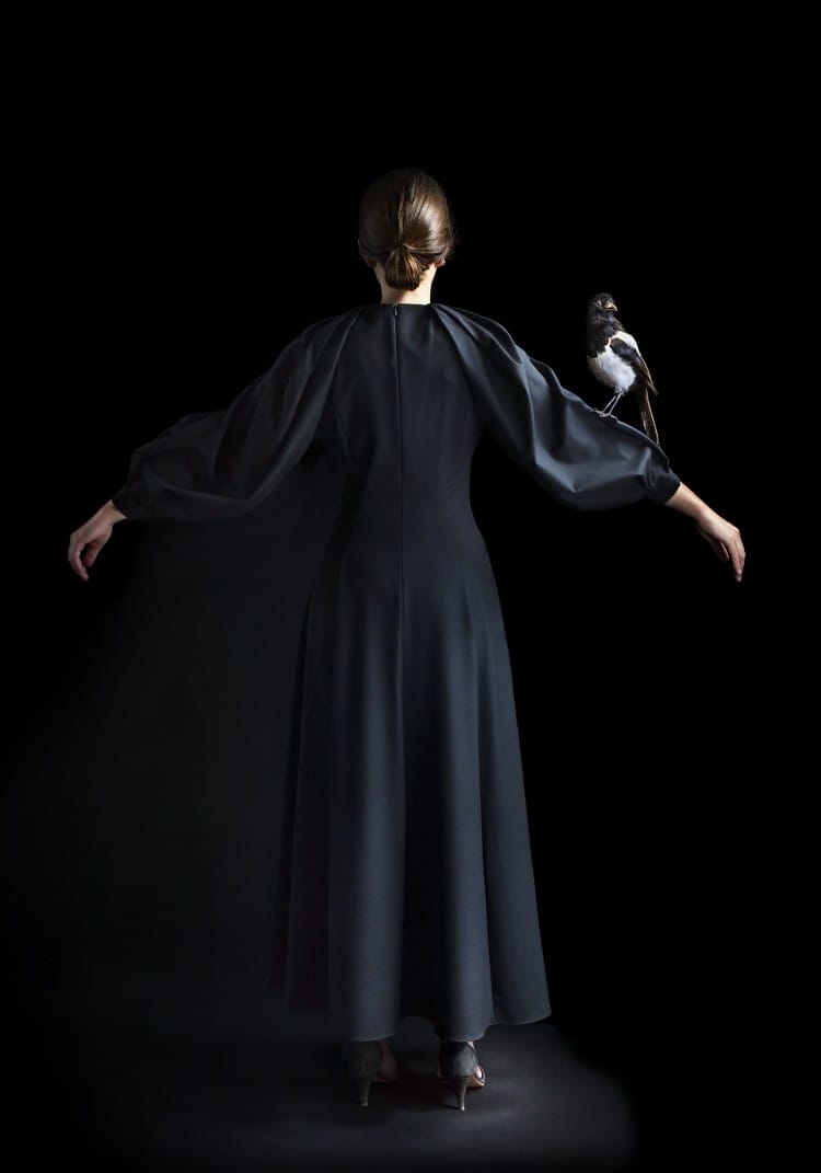 You are the one who flies with the birds