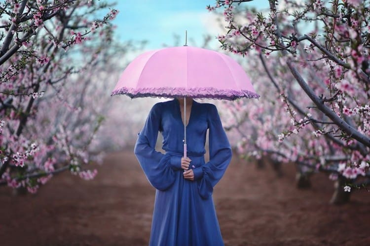Rosy dream