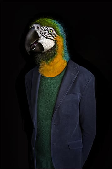 Second Skins – Retrato 97