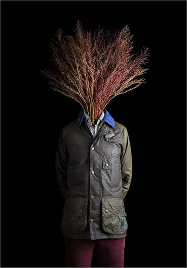 Roots 34