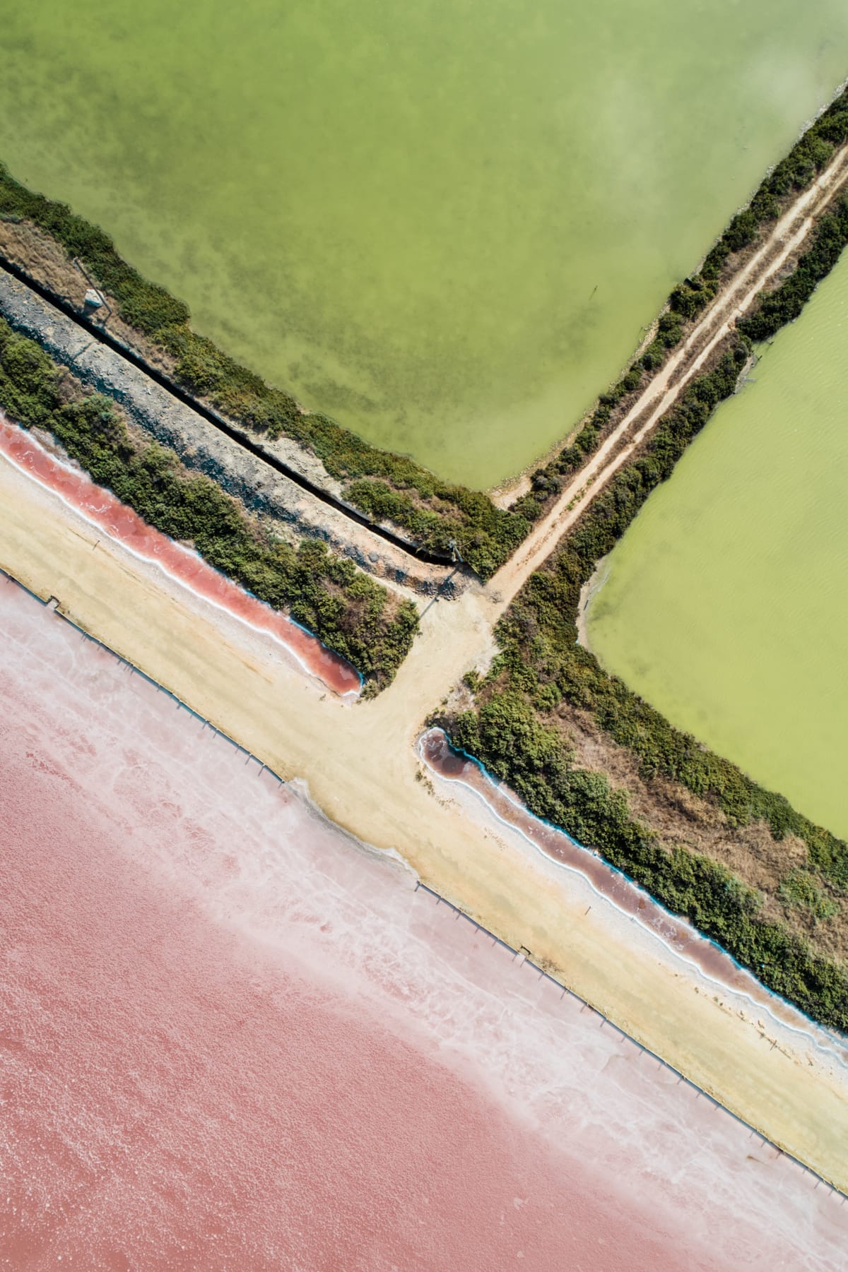 When Green Meets Pink