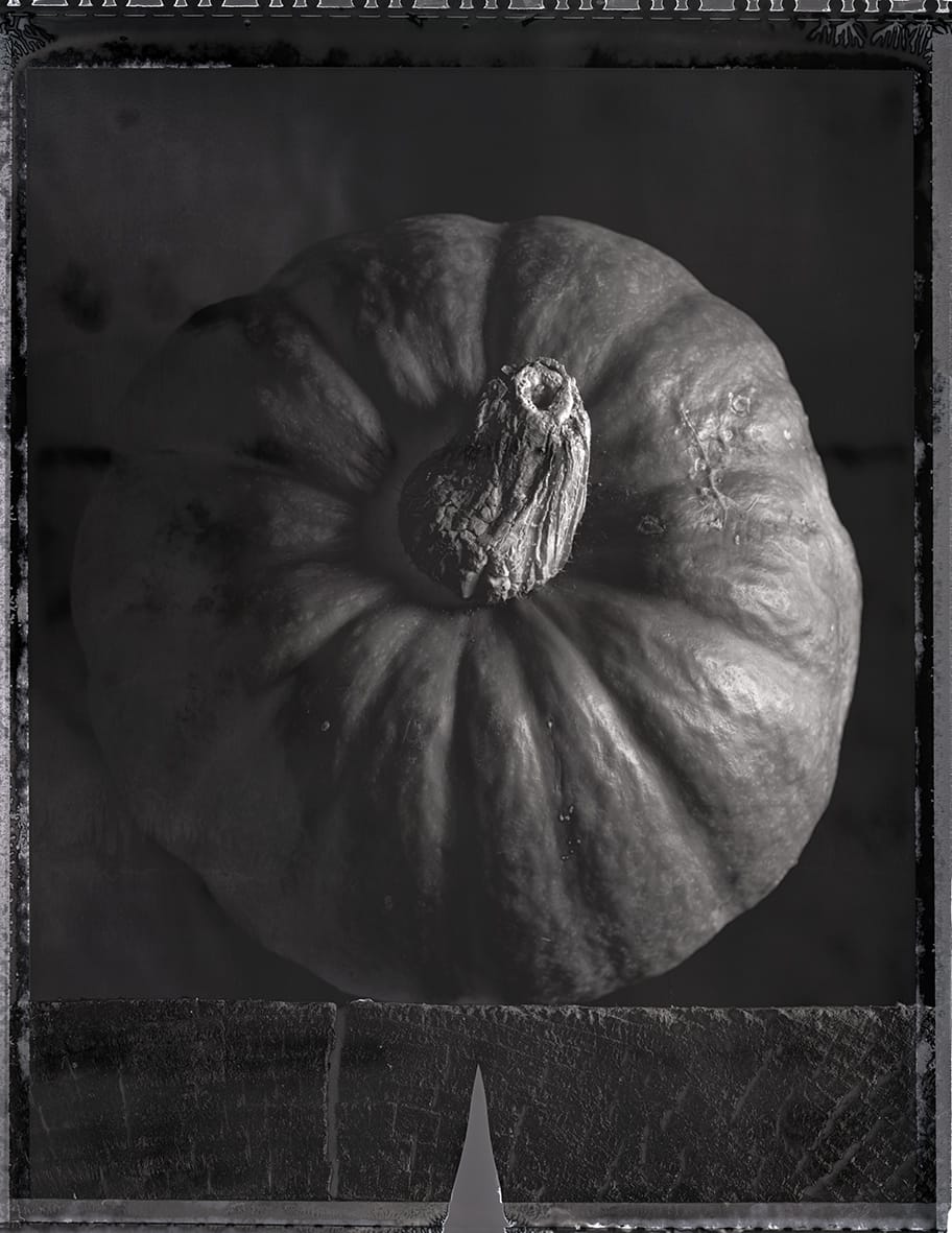 Pumpkin on Black