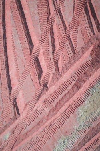 Rapunzel – The Pink Version