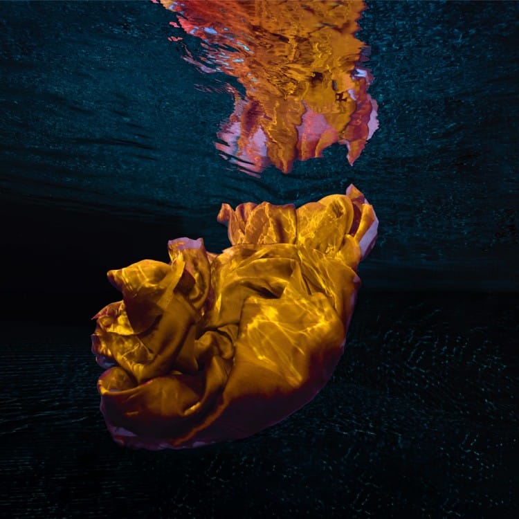 Nudi