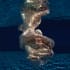 preen-by-maya-almeida- limited-edition-fine-art -underwater-photography