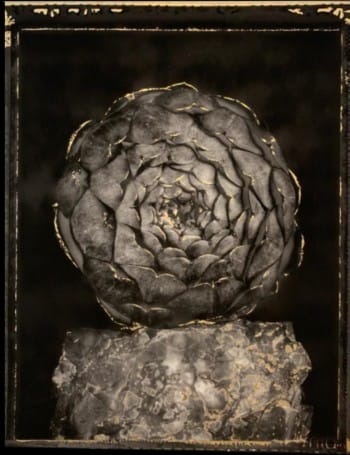 Artichoke on a silicon stone – gold version