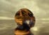 shell-by-maya-almeida- limited-edition-fine-art-photography