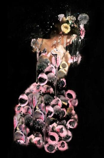 Diva through the looking glass 7