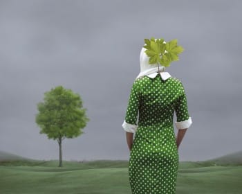 The Language of the Trees