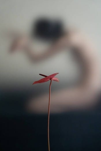 Imitation