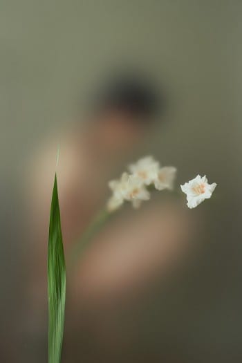 Ziqian Liu