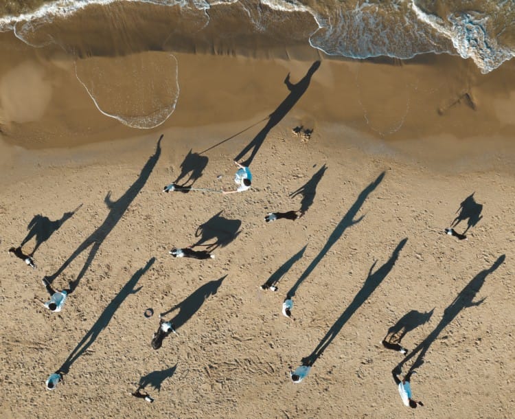 Border collie morning sessions (The smartphone and i series)