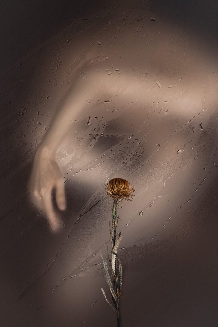 The Wet Painting